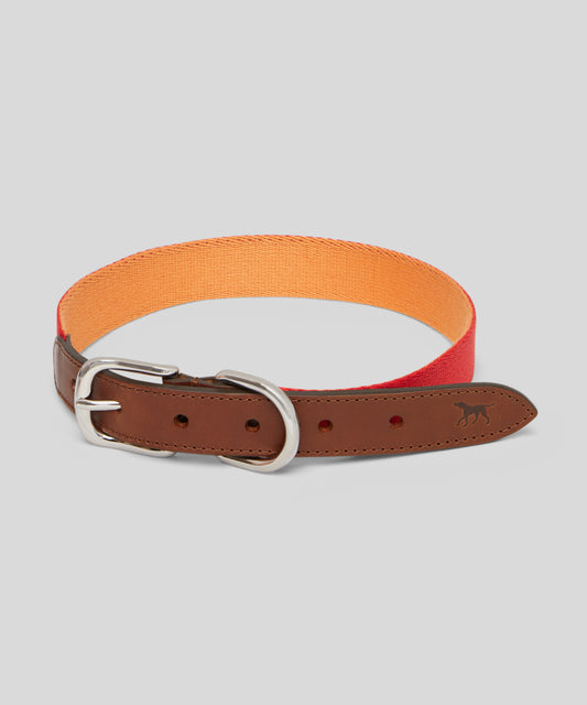 Goodwoof Webbing & Leather Dog Collar