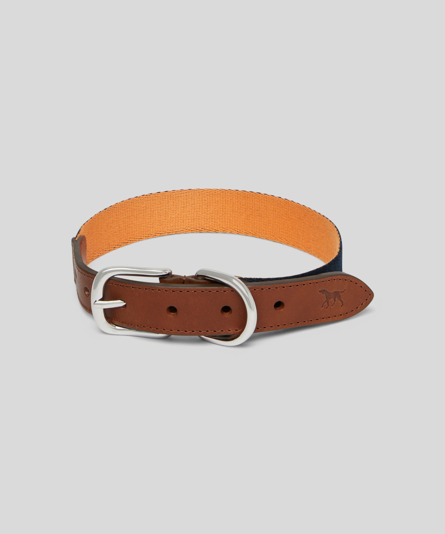 Goodwoof Webbing & Leather Dog Collar