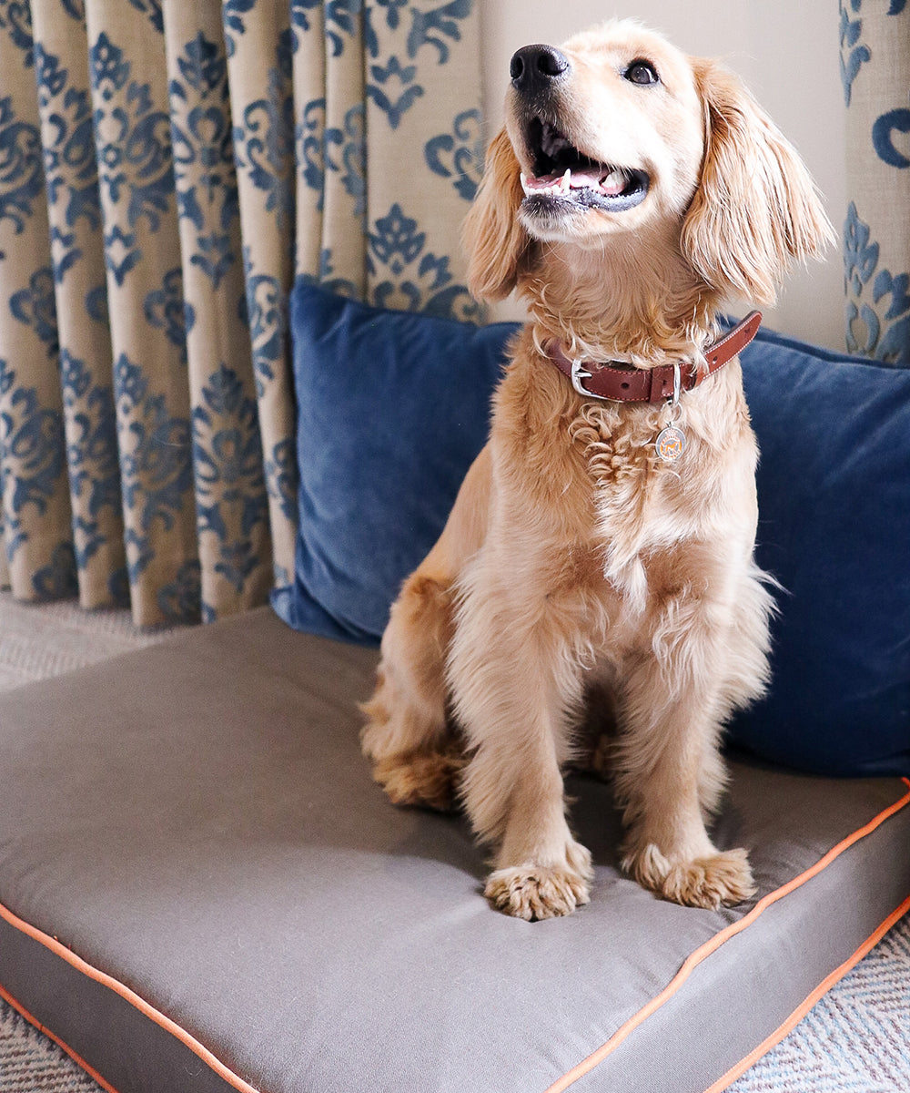 Goodwoof Dog Bed Grey and Orange