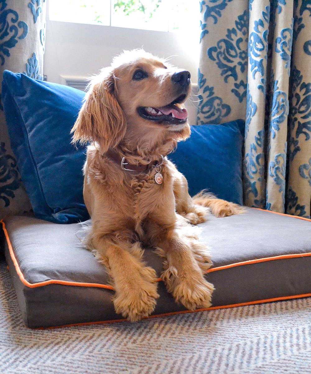 Goodwoof Dog Bed Grey and Orange