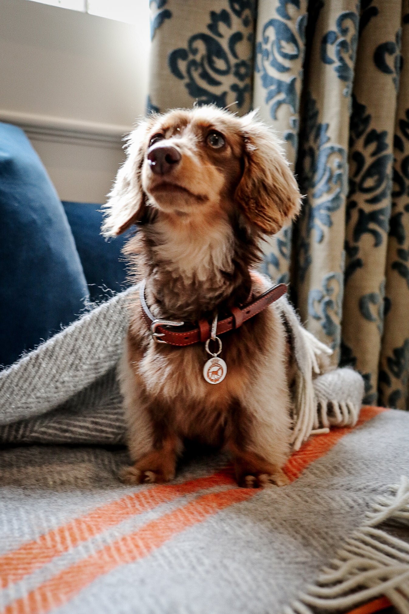 Goodwoof Fishbone Travel Rug Grey & Orange