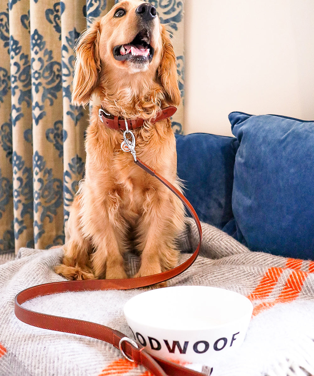 Goodwoof Leather Dog Lead Brown