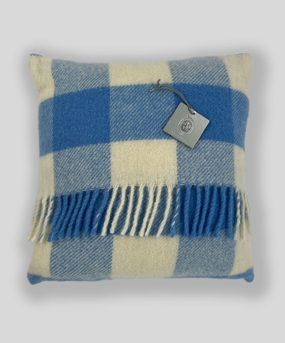Members' Meeting Cushion