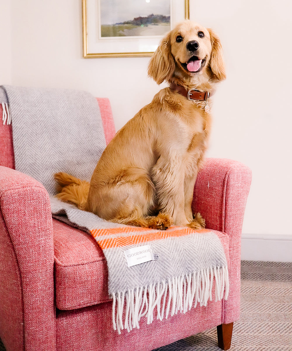 Goodwoof Fishbone Travel Rug Grey & Orange