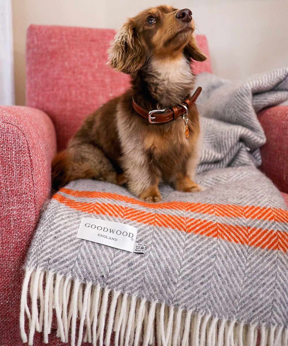 Goodwoof Large Fishbone Rug Grey and Orange