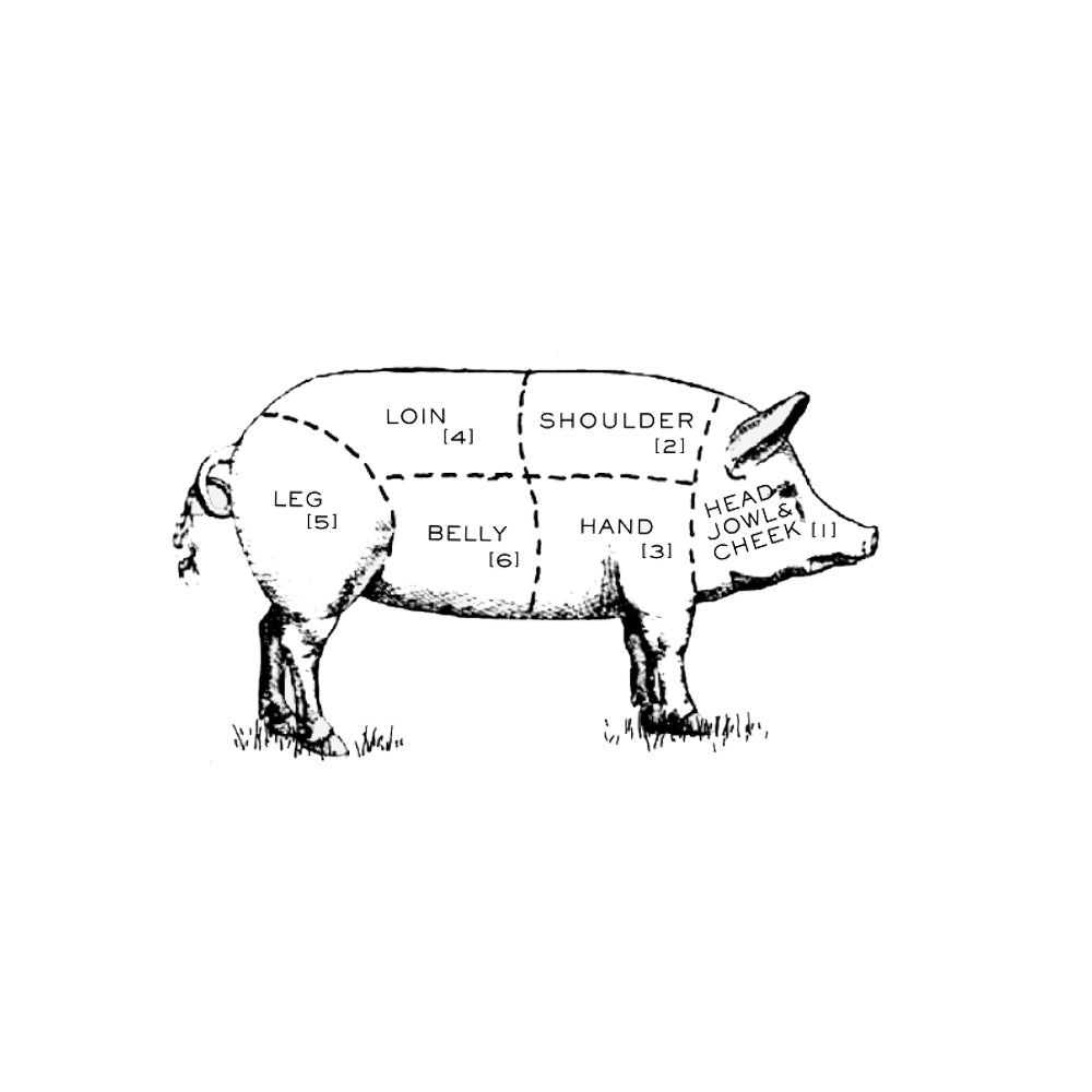 Illustration of different cuts of pork, to highlight the loin chop.