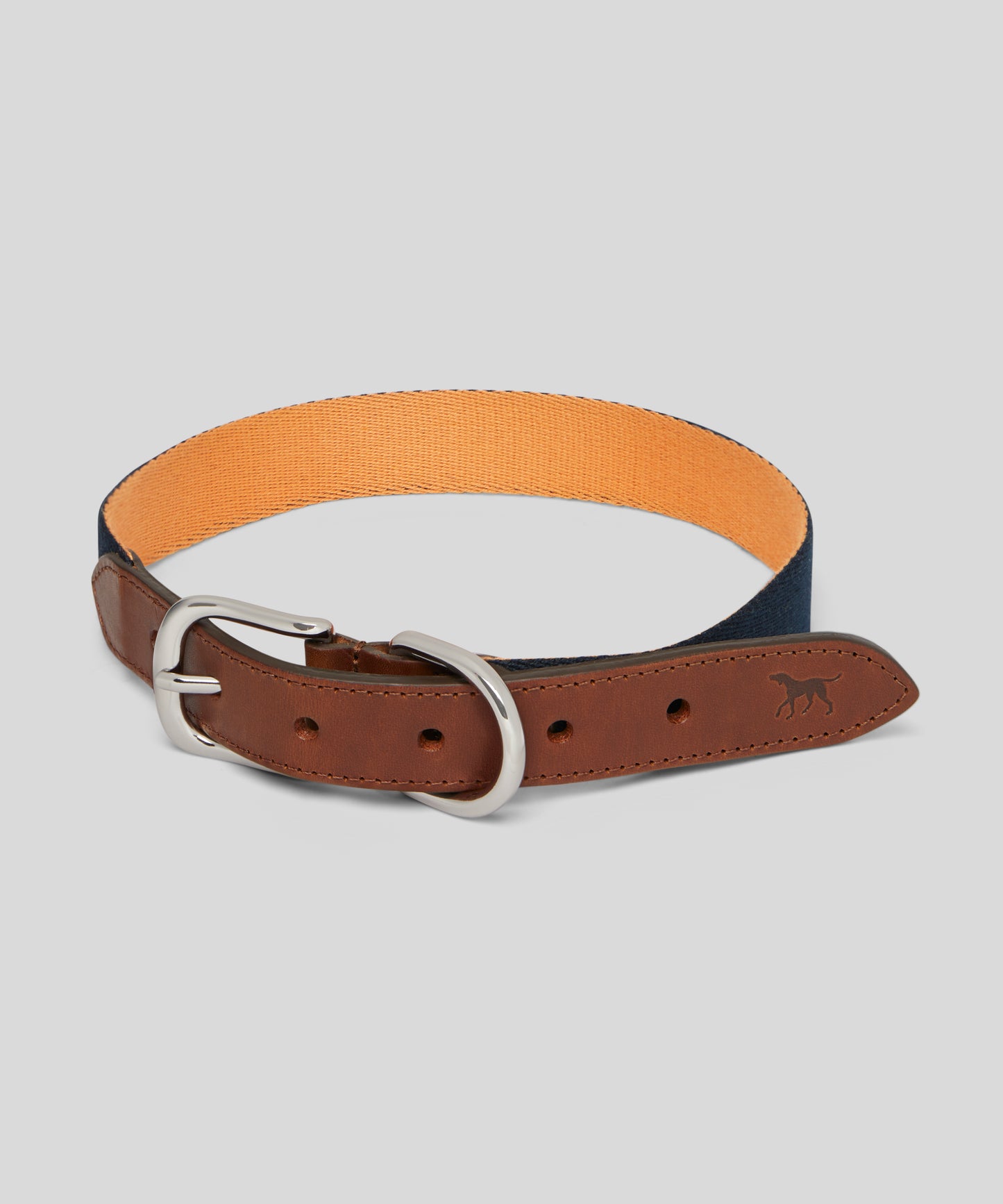 Goodwoof Webbing & Leather Dog Collar