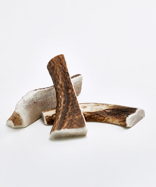 Kennels Dog Chew Antler