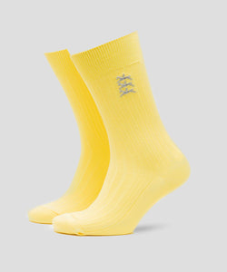 Yellow & Silver