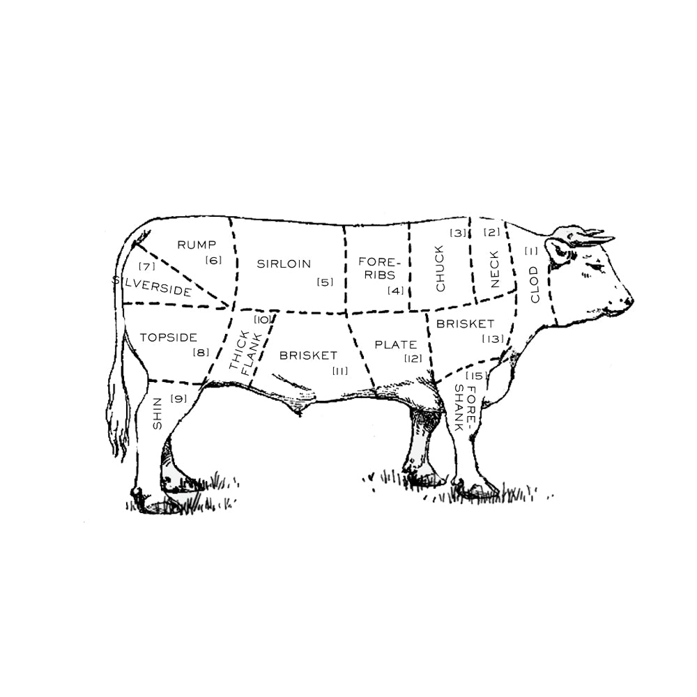 Illustration of different cuts of beef, to highlight the shin.