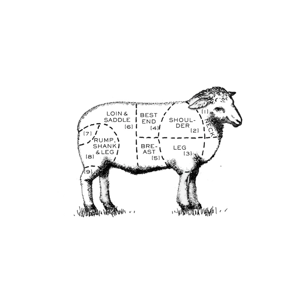 Illustration of different cuts of lamb, to highlight the leg of lamb.